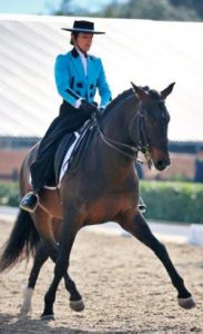 Photo de Fanny Lerpinière et son cheval brun lors de leur passage au concours de dressage