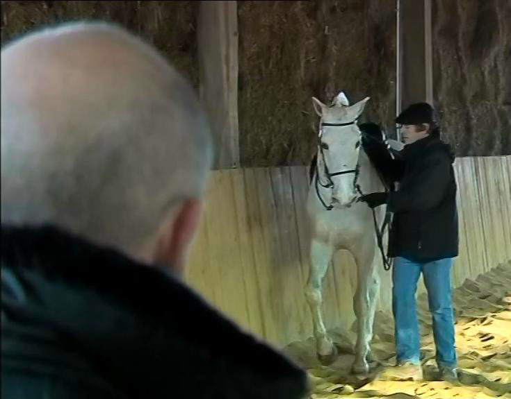 Image d'un entrainement au dressage du cheval blanc Jeitoso accompagné des dresseurs Sami et Michel