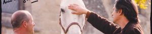 Un cheval blanc vu de face accompagner de son dresseur et de son cavalier