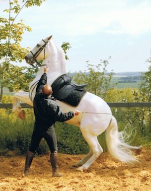 Michel Lerpiniere et son cheval Jeitoso lors du tournage du film ``Danse avec lui`` en 2005