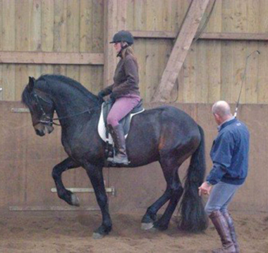 Photo de l'entrainement de dressage du cheval Mykonos