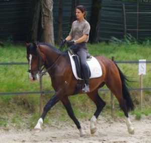 Entrainement de dressage pour le cheval Ubio de Moita