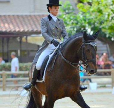 Photo de la prestation du cheval Viena lors de son passage au concours de dressage