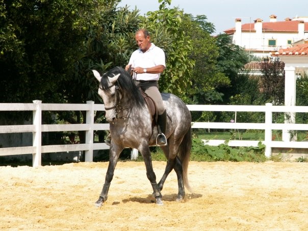 Michel au portugal